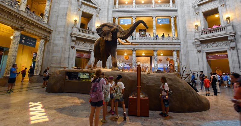 Museums in Washington DC
