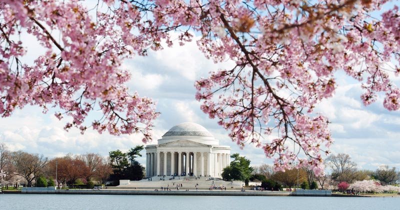 Top 7: Things to do in Washington DC in spring