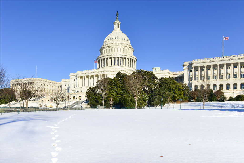 Winter in Washington DC