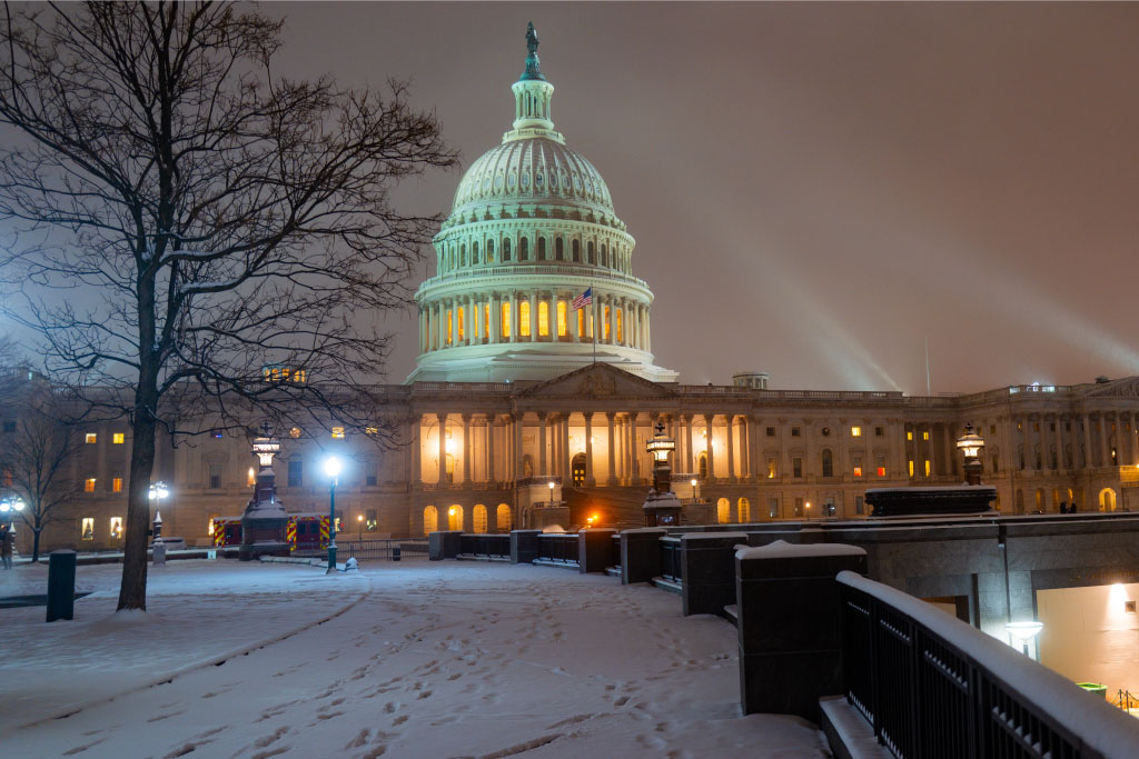 Winter in Washington DC