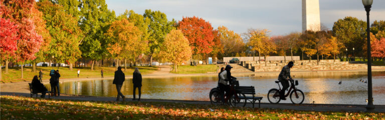 Visitar Washington DC