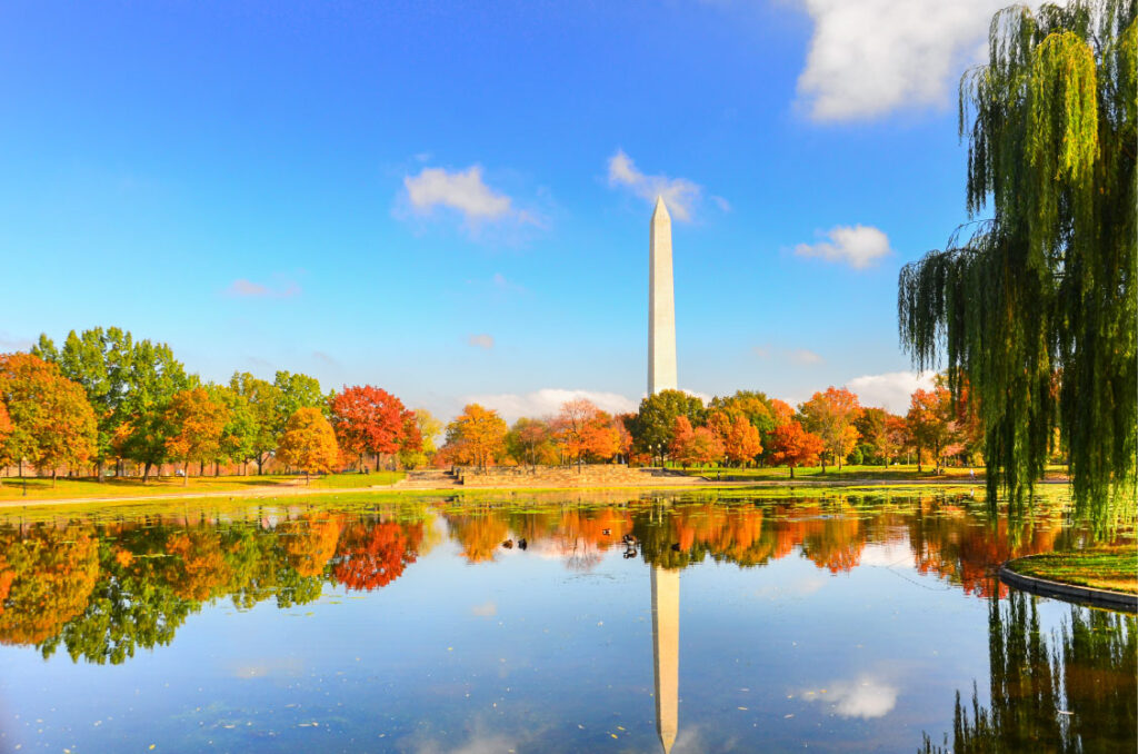 Otoño en Washington DC