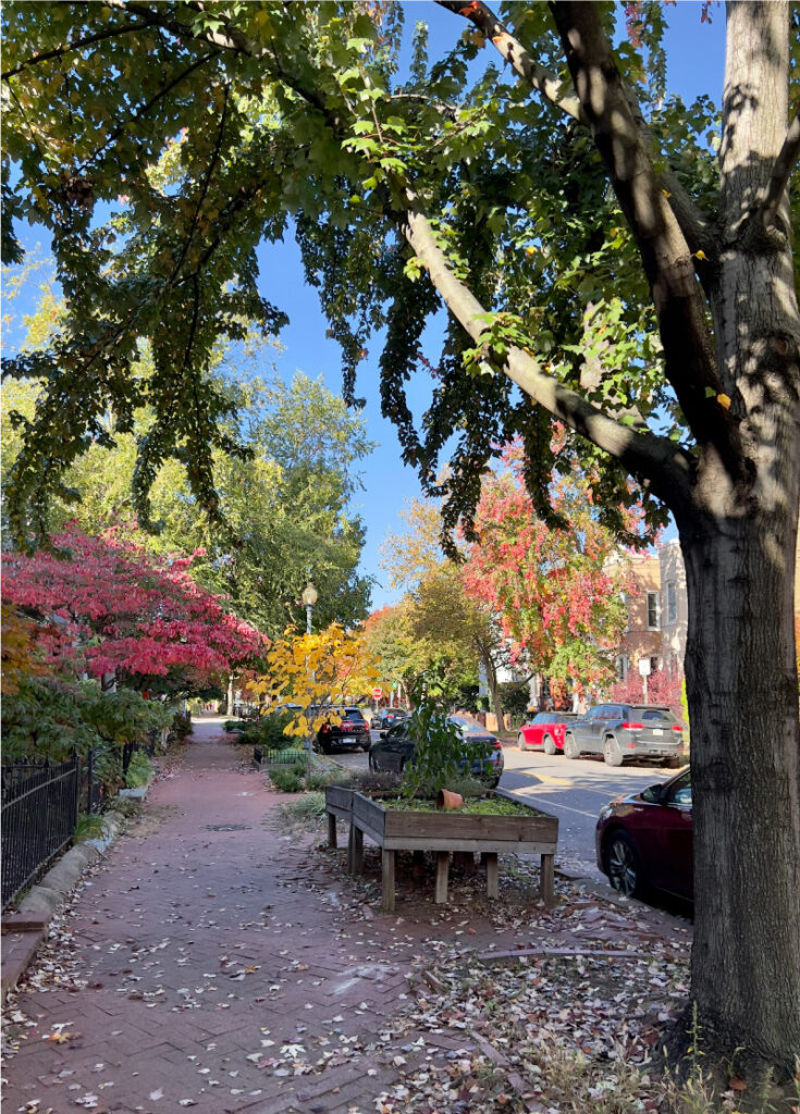 Estaciones en Washington DC, Otoño
