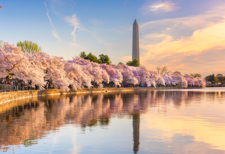 Estaciones en Washington DC