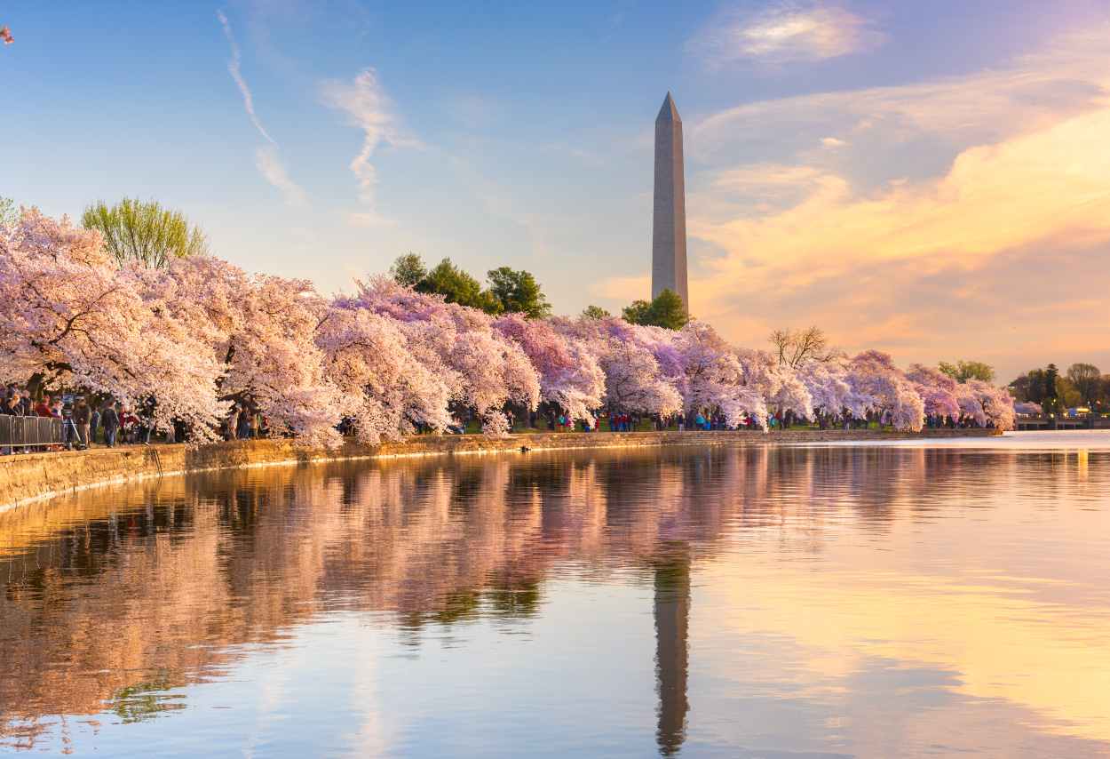 Estaciones en Washington DC
